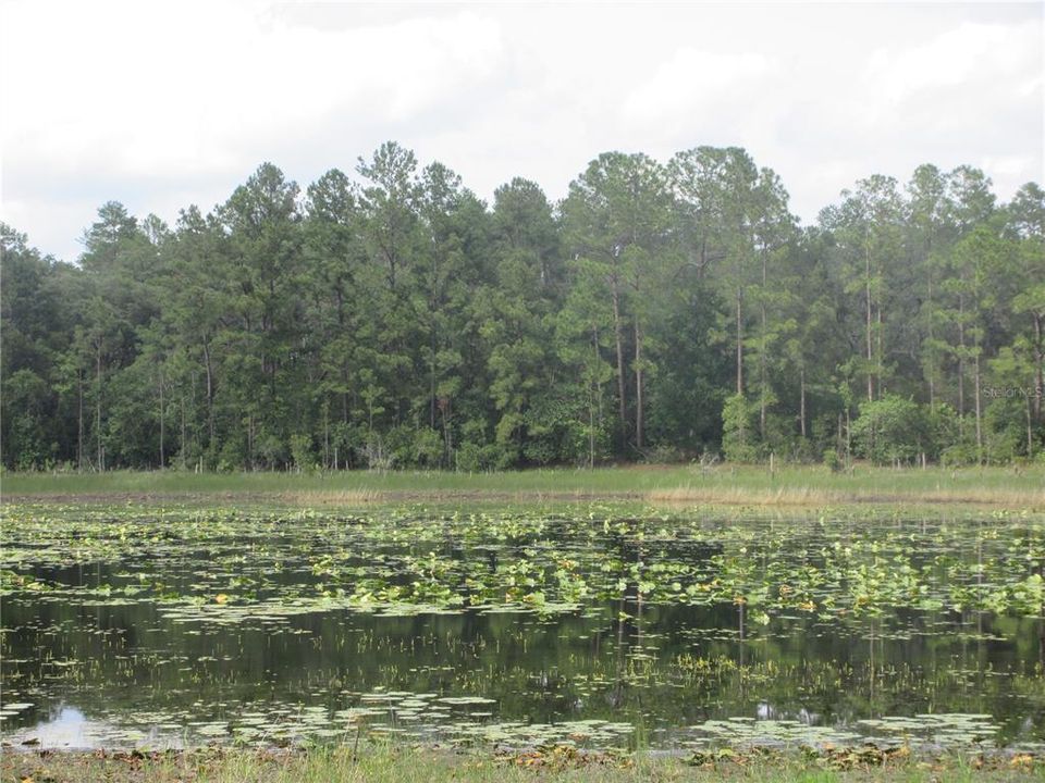For Sale: $138,000 (6.95 acres)