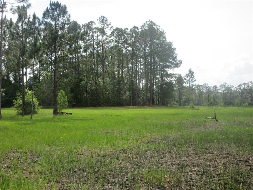 For Sale: $138,000 (6.95 acres)