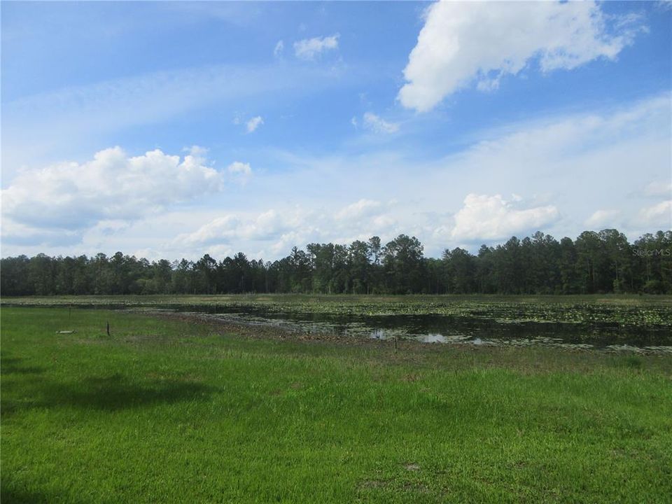 For Sale: $138,000 (6.95 acres)