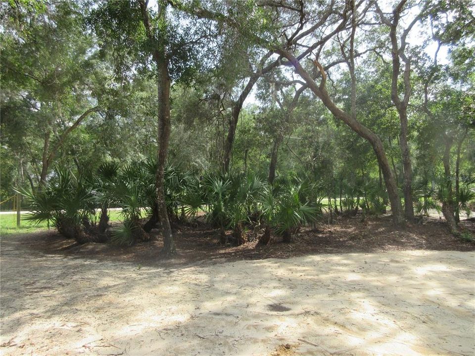 For Sale: $138,000 (6.95 acres)