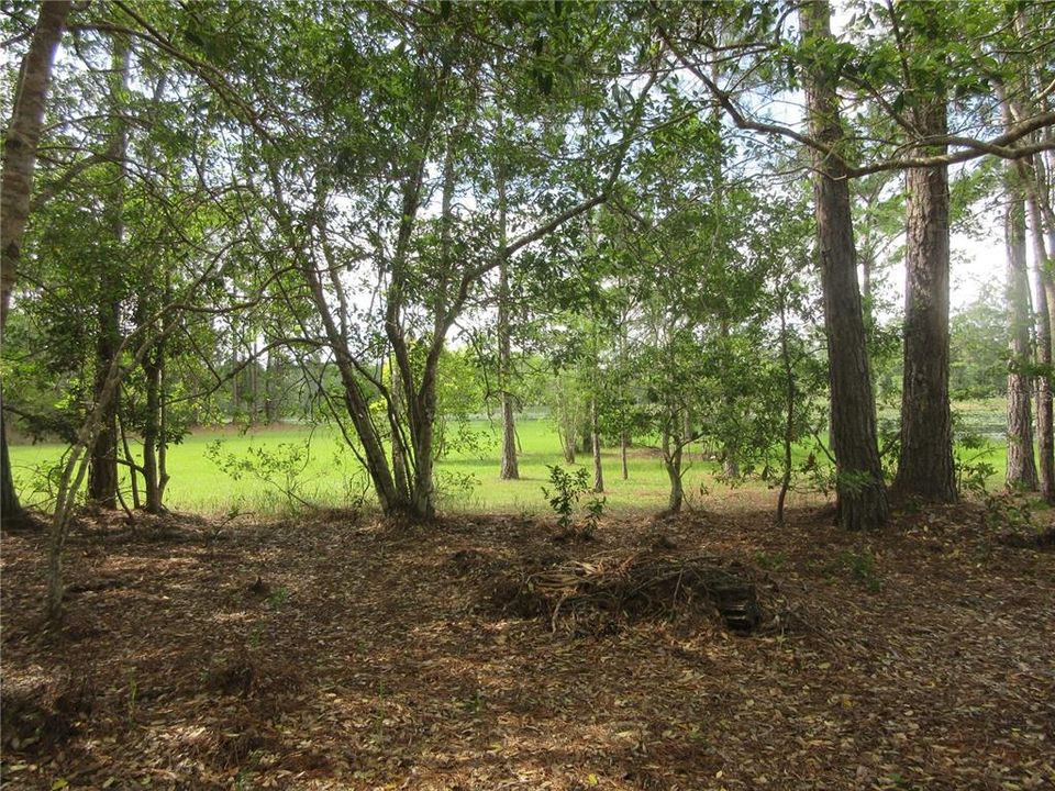 For Sale: $138,000 (6.95 acres)