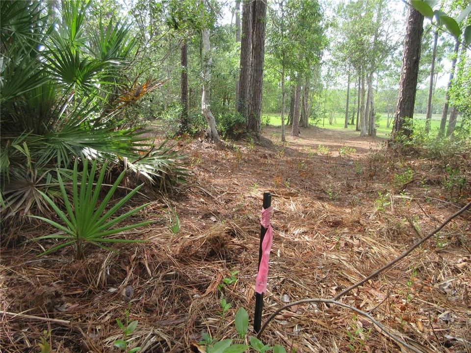 For Sale: $138,000 (6.95 acres)