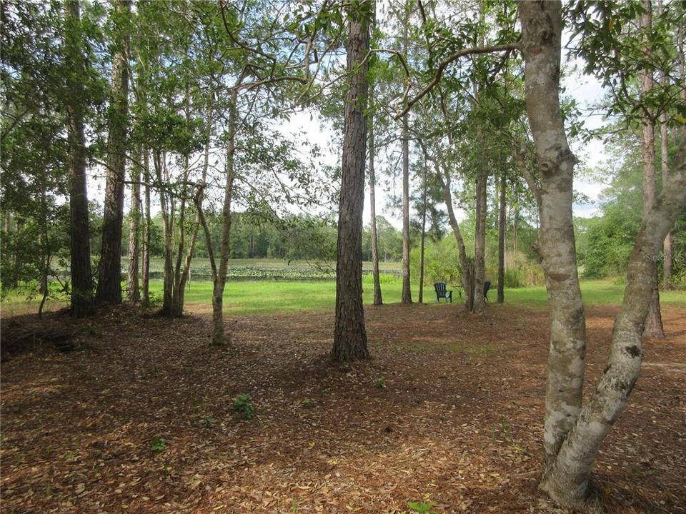 For Sale: $138,000 (6.95 acres)
