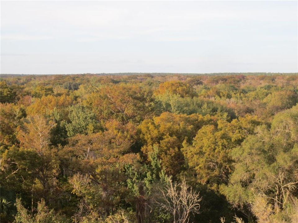 For Sale: $138,000 (6.95 acres)