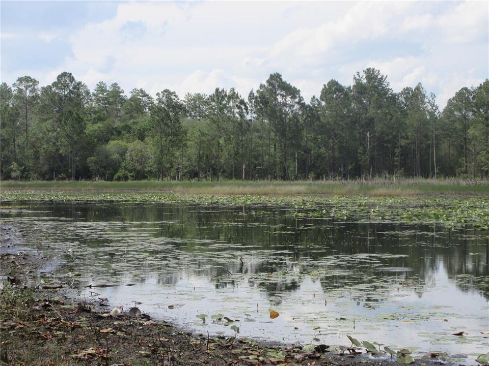 For Sale: $138,000 (6.95 acres)