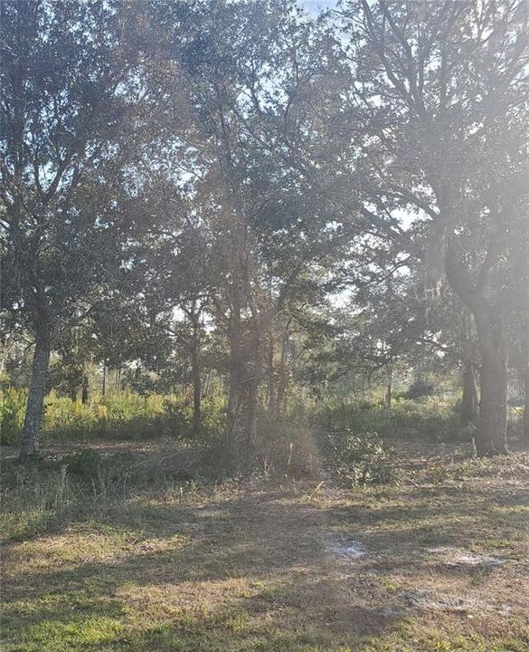 For Sale: $25,000 (0.50 acres)
