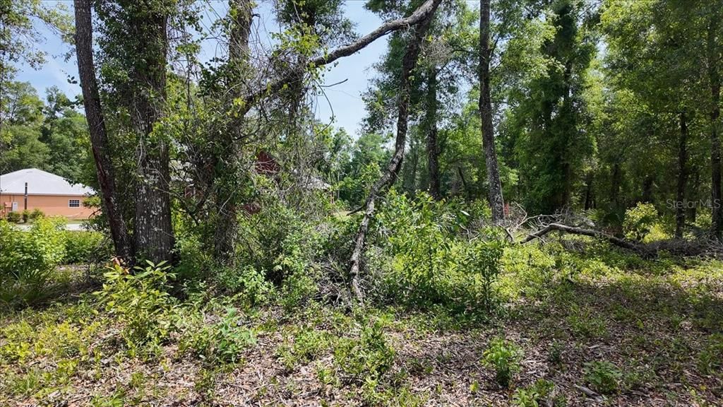 For Sale: $67,500 (1.14 acres)
