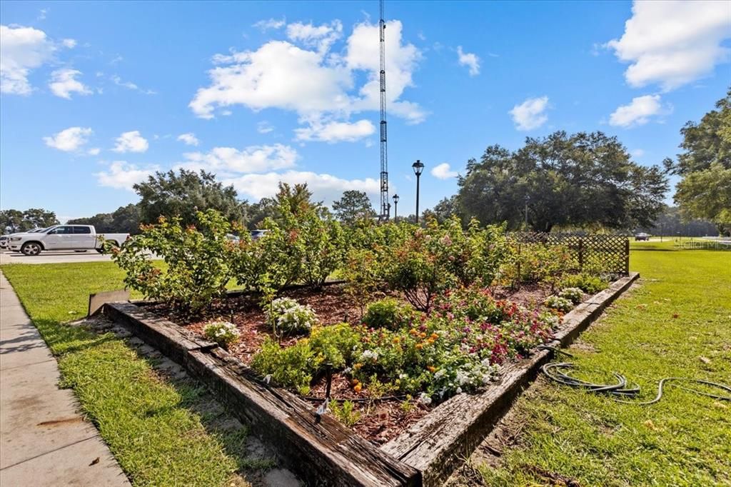 For Sale: $67,500 (1.14 acres)