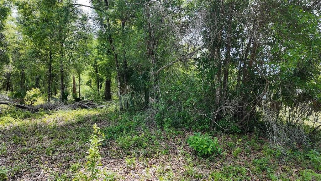 For Sale: $67,500 (1.14 acres)