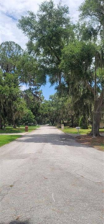 На продажу: $120,000 (0.46 acres)