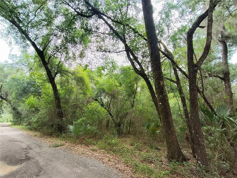 На продажу: $270,000 (5.00 acres)