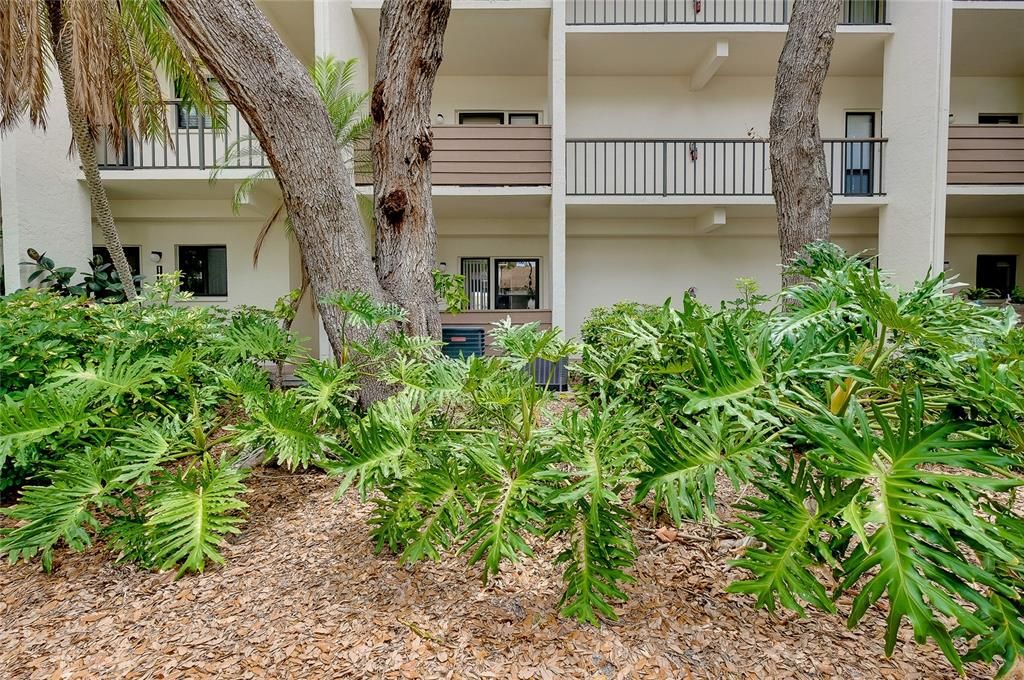 For Sale: $189,900 (1 beds, 1 baths, 800 Square Feet)