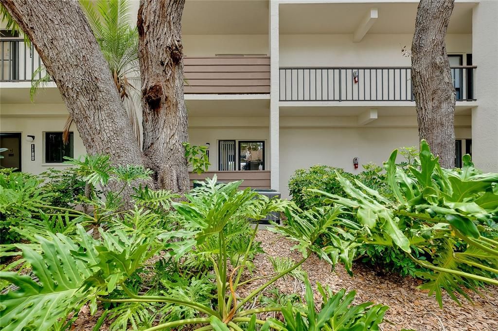 For Sale: $189,900 (1 beds, 1 baths, 800 Square Feet)