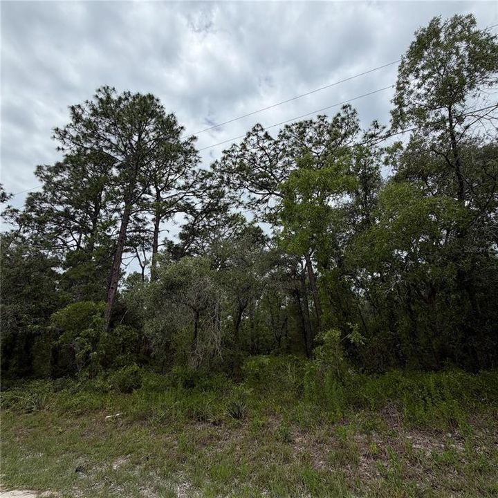 For Sale: $54,000 (1.00 acres)