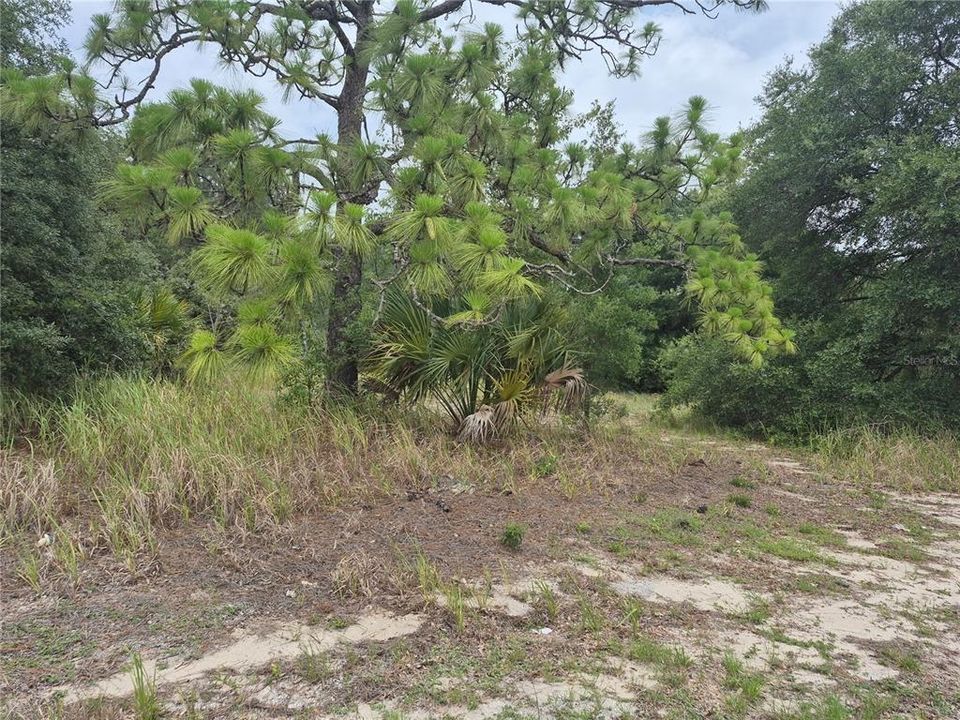 На продажу: $525,000 (1.56 acres)