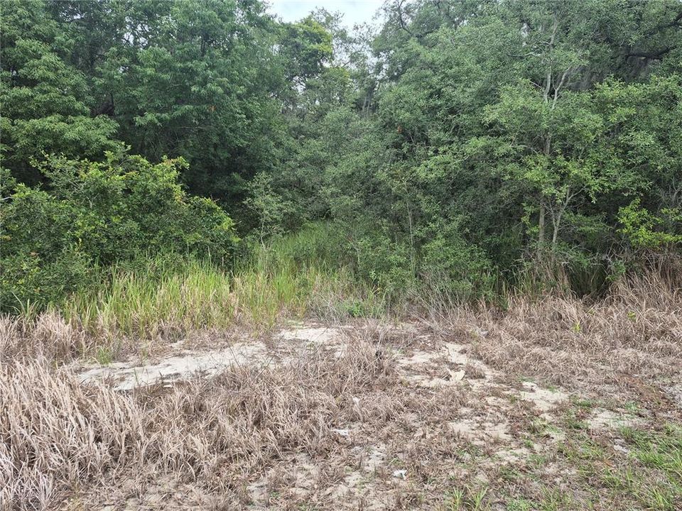 На продажу: $525,000 (1.56 acres)