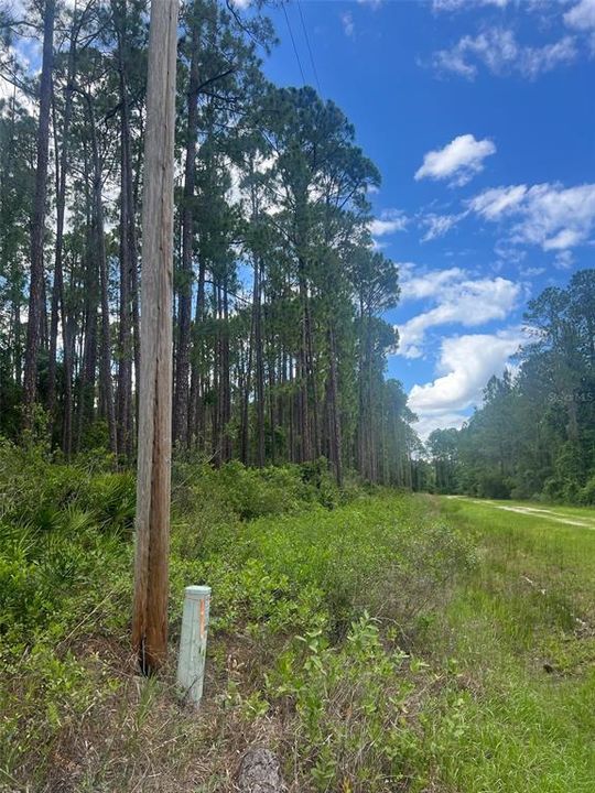 待售: $7,300 (0.23 acres)