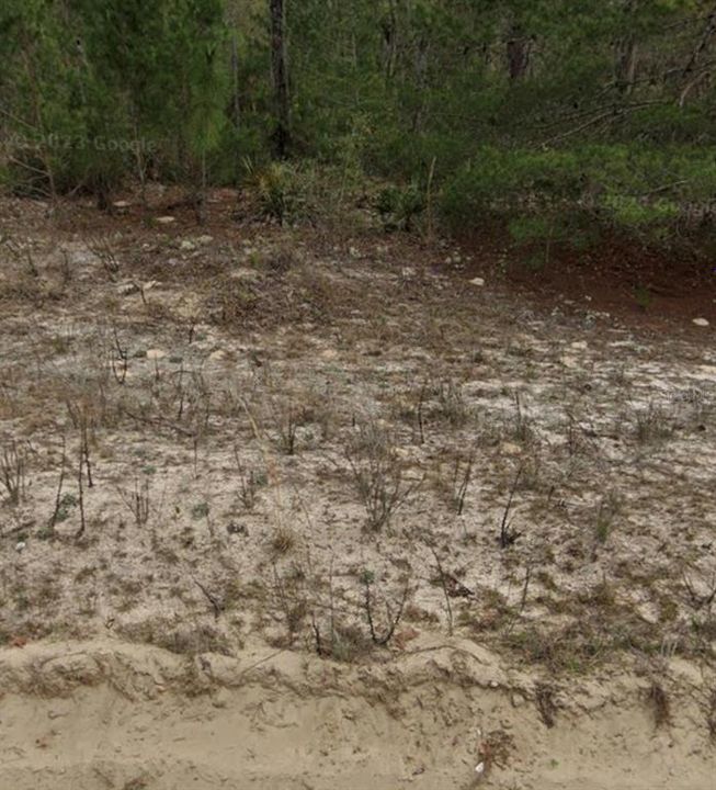 На продажу: $7,490 (0.22 acres)