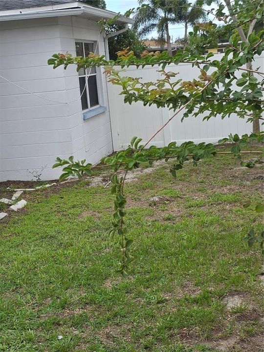 En Venta: $465,000 (3 camas, 2 baños, 1324 Pies cuadrados)