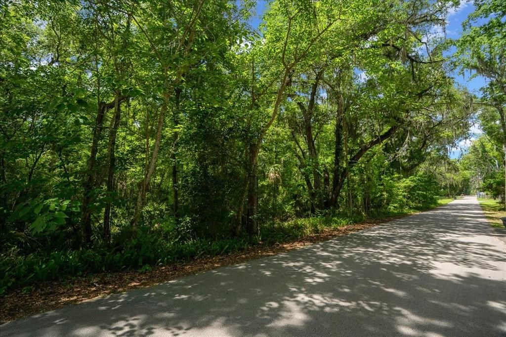 For Sale: $425,000 (4.55 acres)