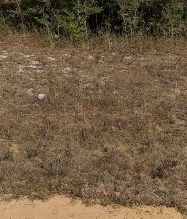 На продажу: $7,490 (0.22 acres)