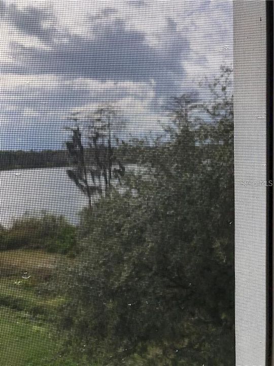 En Renta: $1,695 (2 camas, 2 baños, 1107 Pies cuadrados)