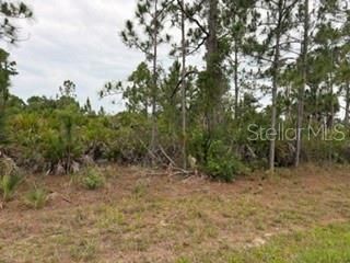 На продажу: $29,000 (0.23 acres)