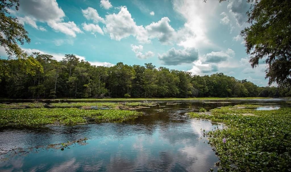 For Sale: $320,000 (10.65 acres)