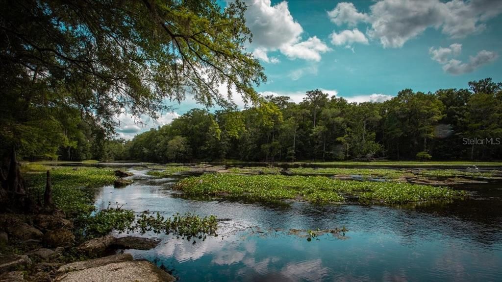 For Sale: $320,000 (10.65 acres)