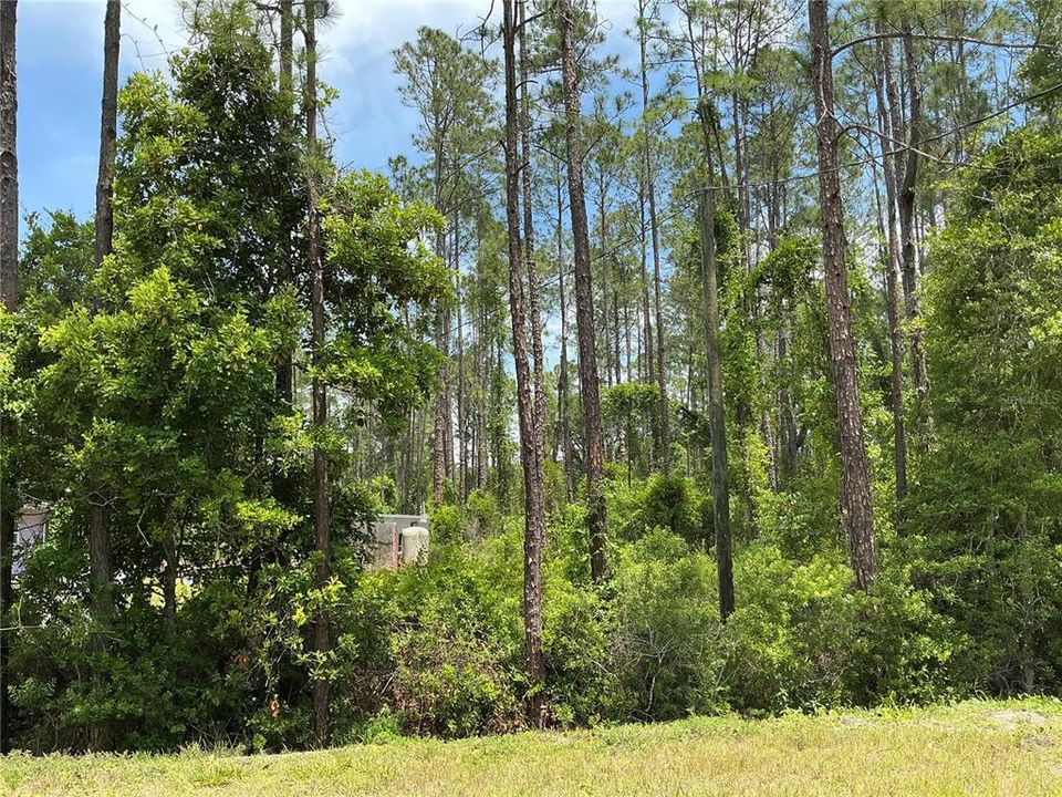 待售: $39,000 (1.10 acres)