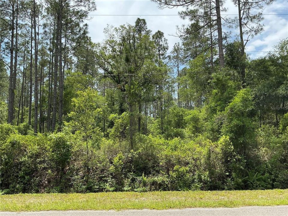En Venta: $39,000 (1.10 acres)
