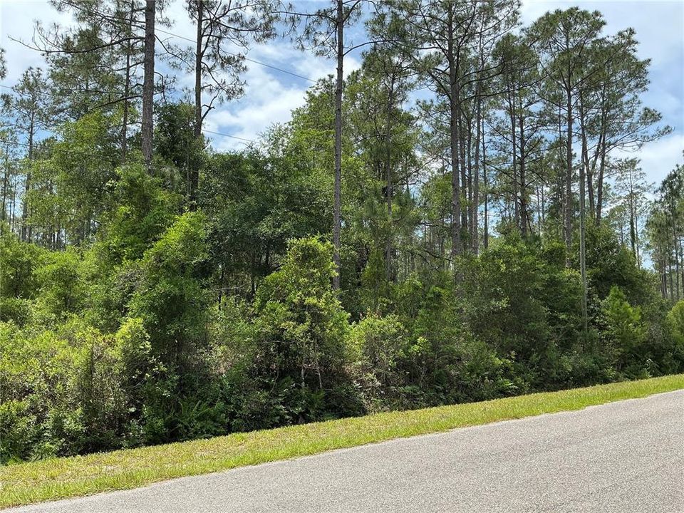 En Venta: $39,000 (1.10 acres)