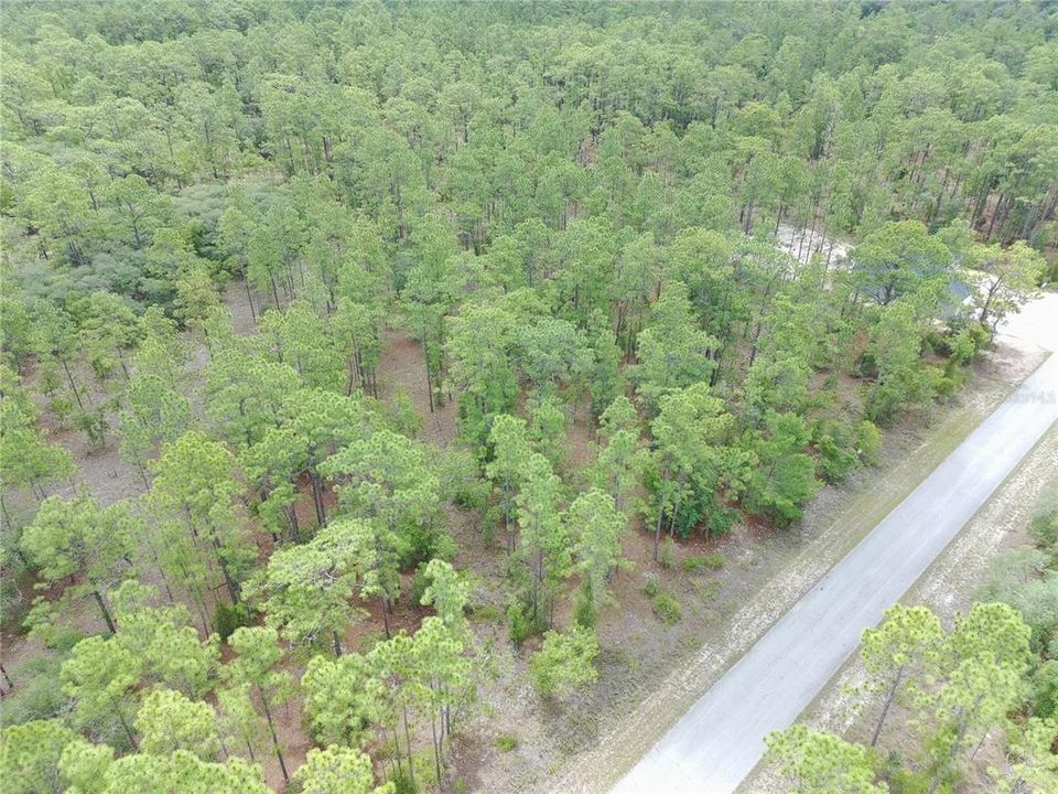 En Venta: $12,000 (0.29 acres)