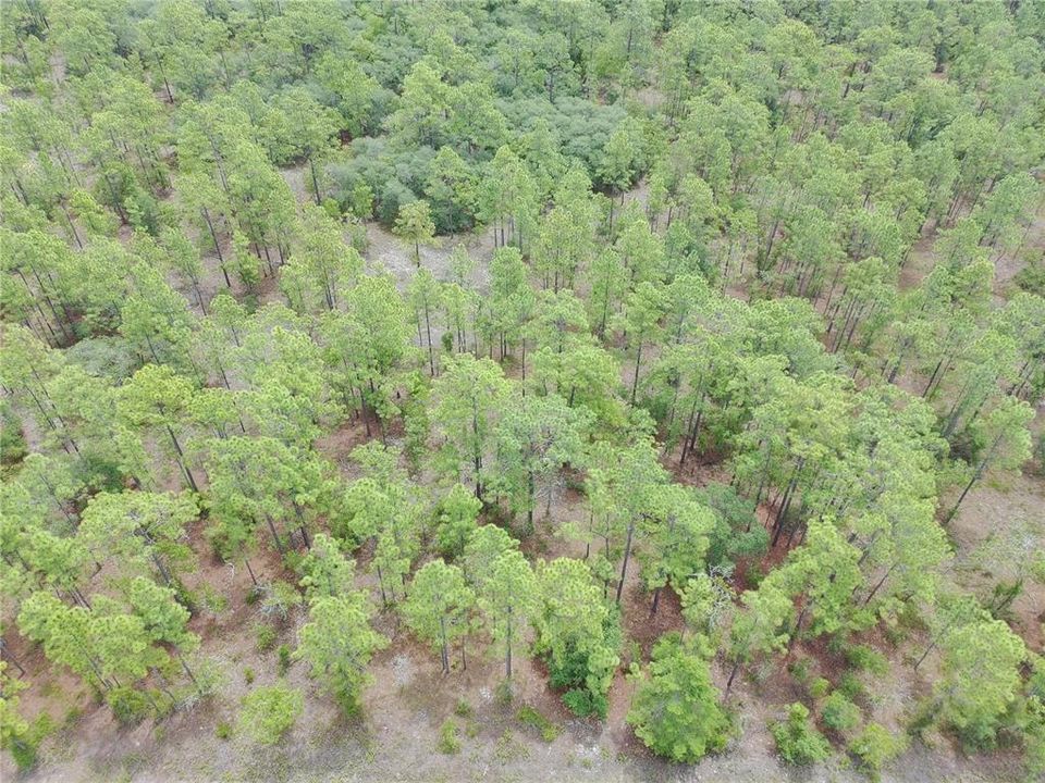 En Venta: $12,000 (0.29 acres)