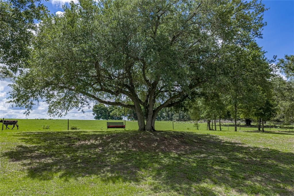 En Venta: $1,125,000 (6 camas, 4 baños, 5481 Pies cuadrados)