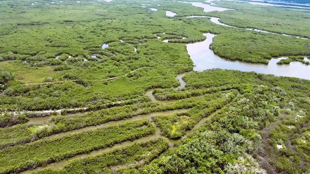 For Sale: $450,000 (0.55 acres)