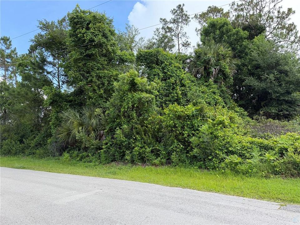 For Sale: $81,500 (0.31 acres)