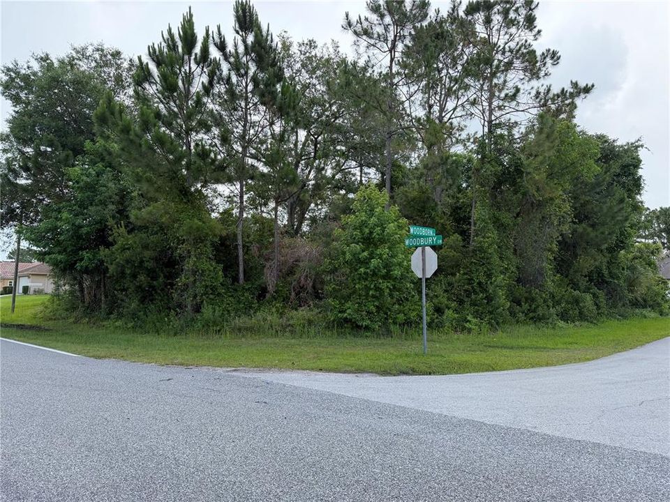 For Sale: $81,500 (0.31 acres)