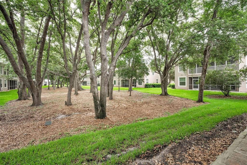 For Sale: $417,000 (3 beds, 2 baths, 2045 Square Feet)