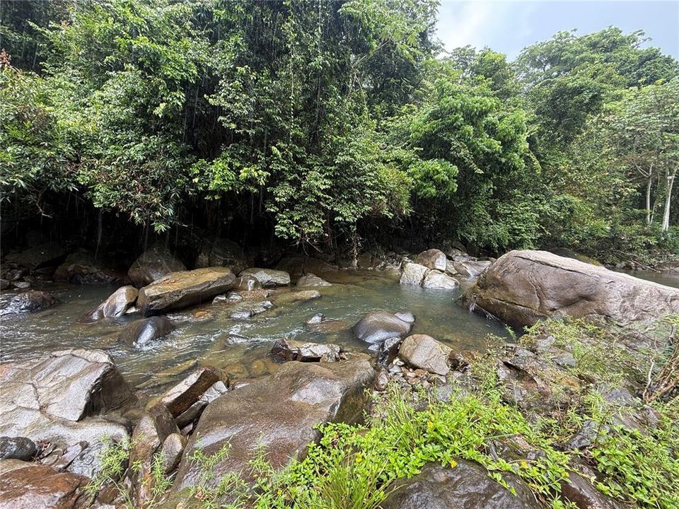 На продажу: $899,000 (28.00 acres)