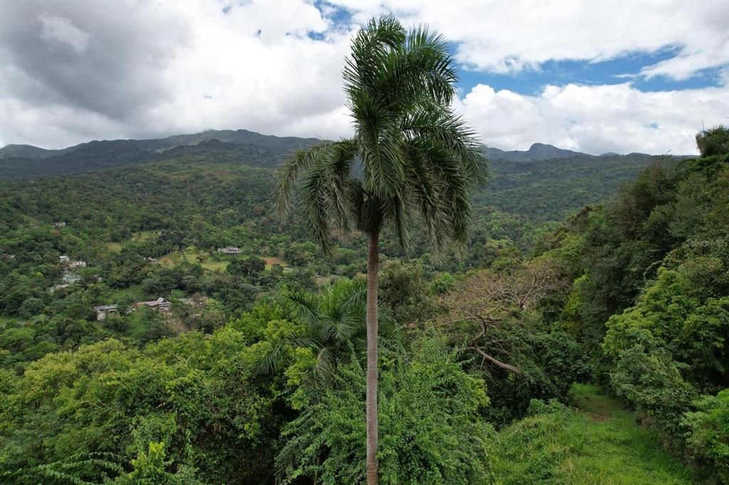 На продажу: $899,000 (28.00 acres)