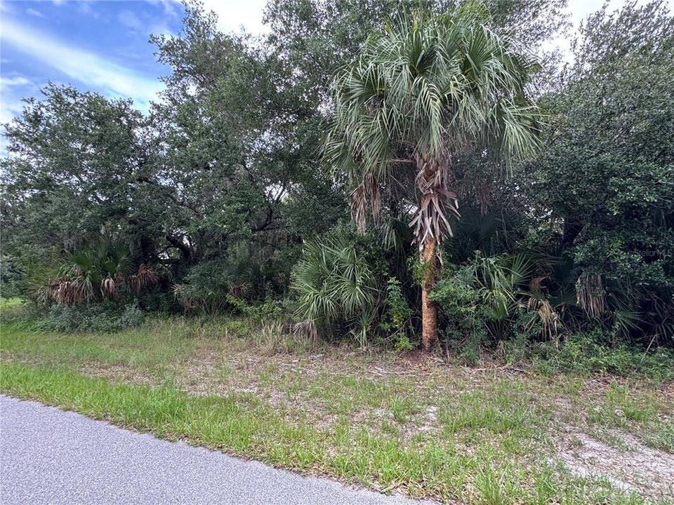 For Sale: $18,000 (0.23 acres)