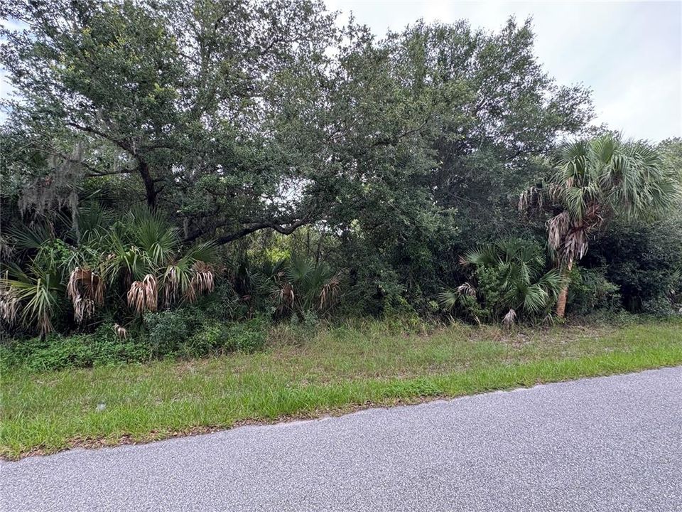 For Sale: $18,000 (0.23 acres)
