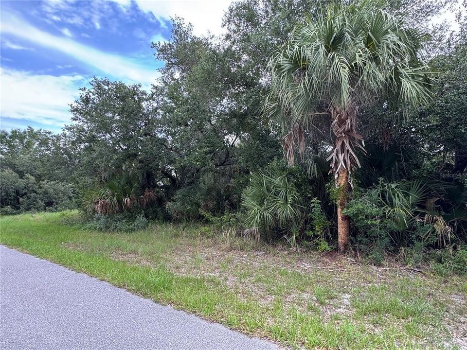 For Sale: $18,000 (0.23 acres)