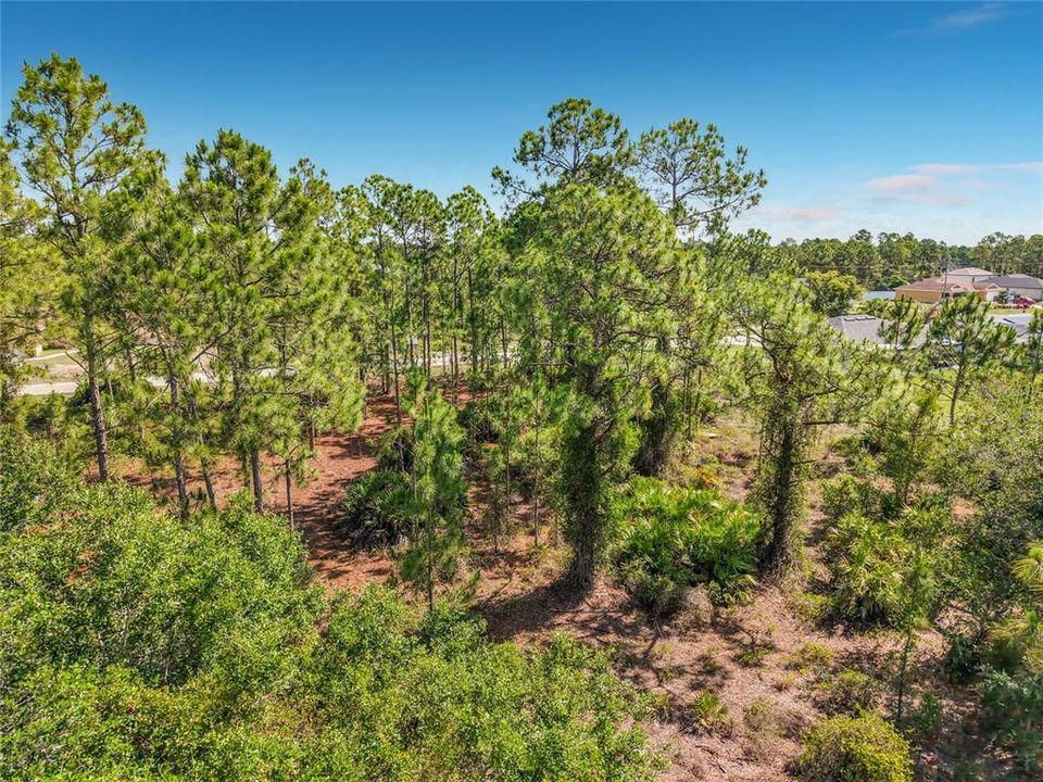 For Sale: $26,000 (0.24 acres)