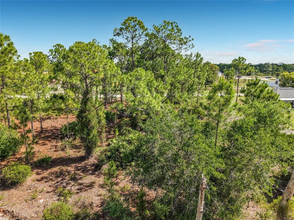 For Sale: $26,000 (0.24 acres)