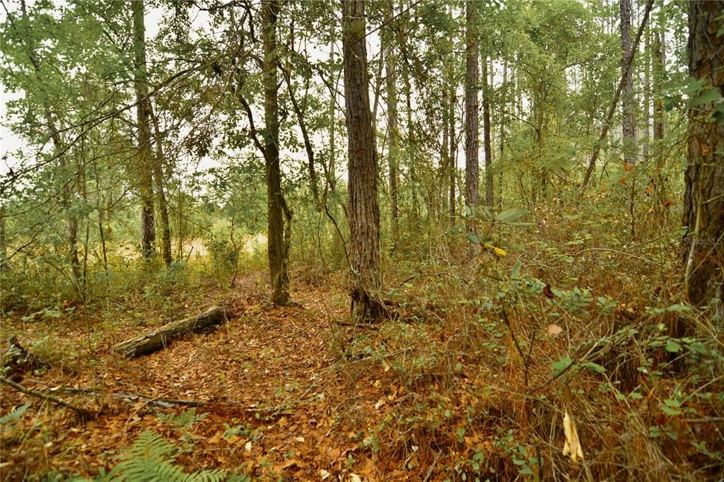 待售: $105,000 (15.00 acres)