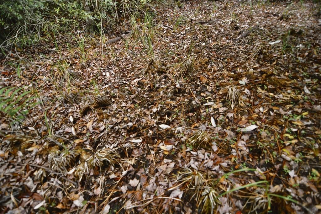 待售: $105,000 (15.00 acres)