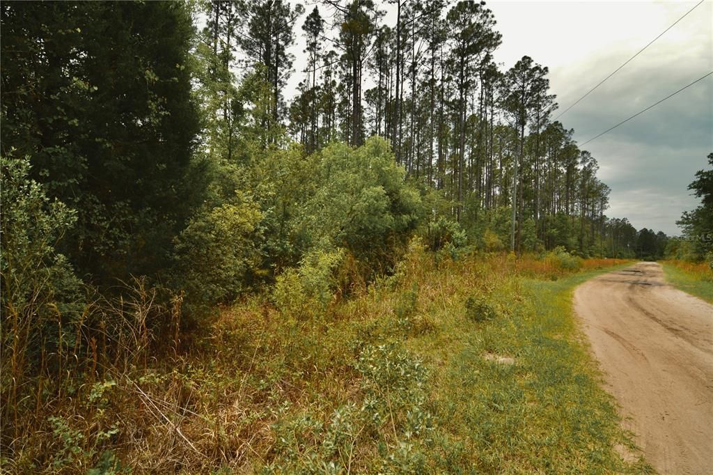 待售: $105,000 (15.00 acres)