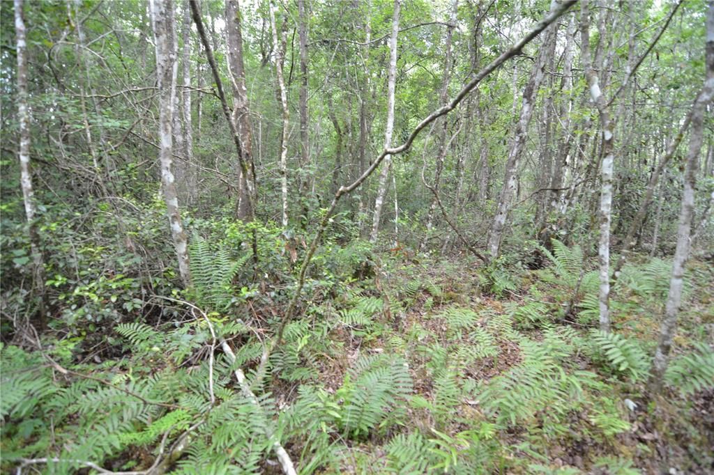 待售: $105,000 (15.00 acres)